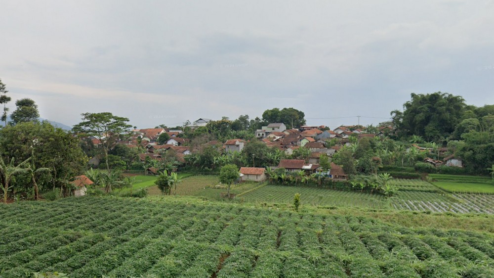 Pemukiman Kampung Cikubang Desa Citali