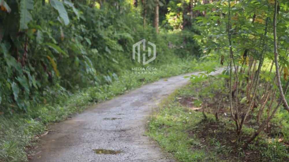 Akses masuk Kampung Cipari bagian timur