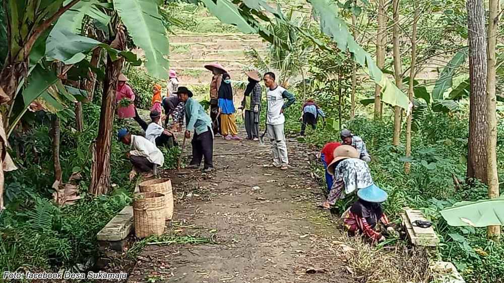Akses jalan Kampung Cisoka - Kampung Cimanglid