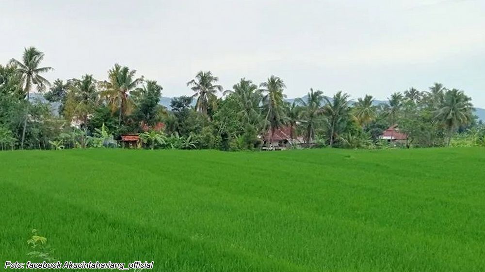 Pemukiman Kampung Hariang Tonggoh