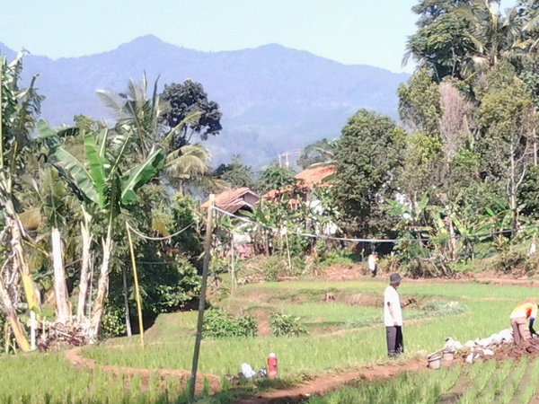 Kampung Pabuaran di Desa Sukajaya