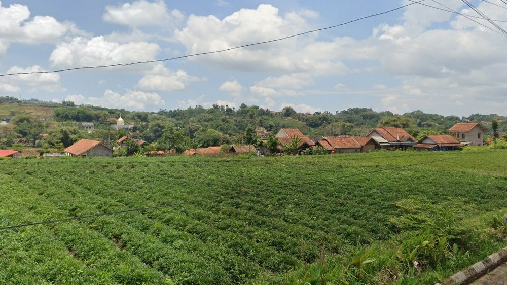 Pemukiman Kampung Citali Desa Citali