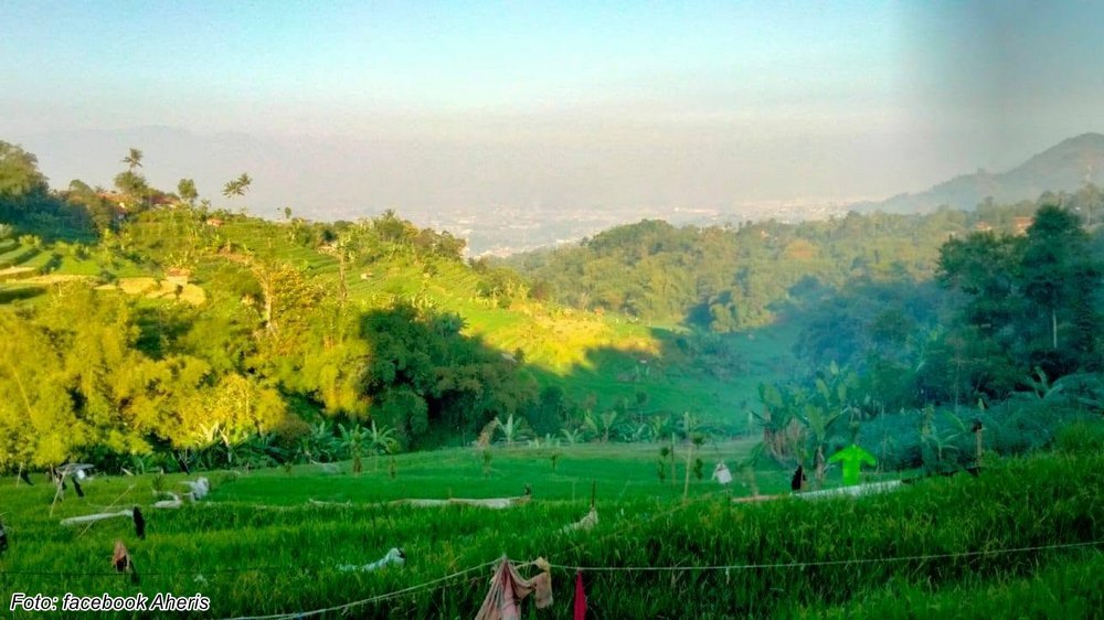 Suasana alam Kampung Cilimusjangkung Desa Cimanggung