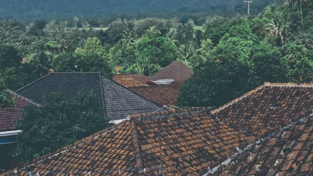 Pemukiman Kampung Pangkalan Desa Boros