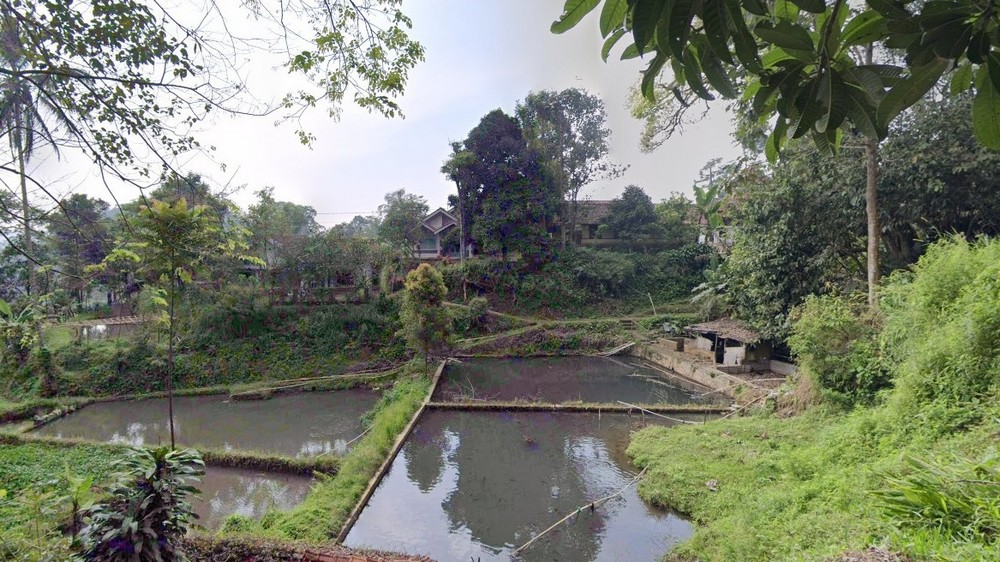 Suasana Kampung Cikubang Desa Sukahayu