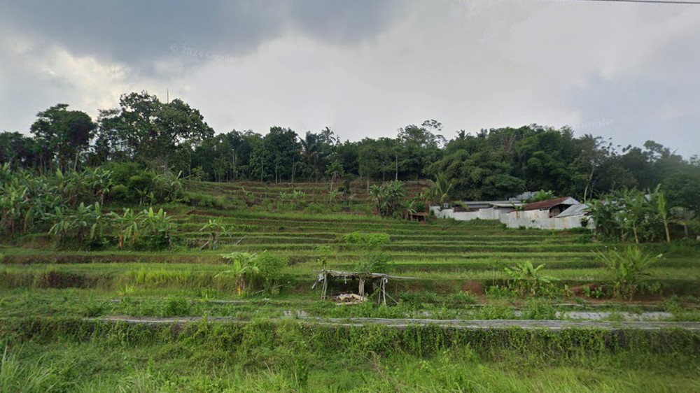 Kampung Cilimus Desa Margamukti