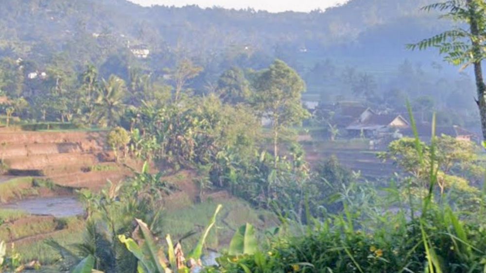 Pemukiman Kampung Cipaku Desa Pangadegan