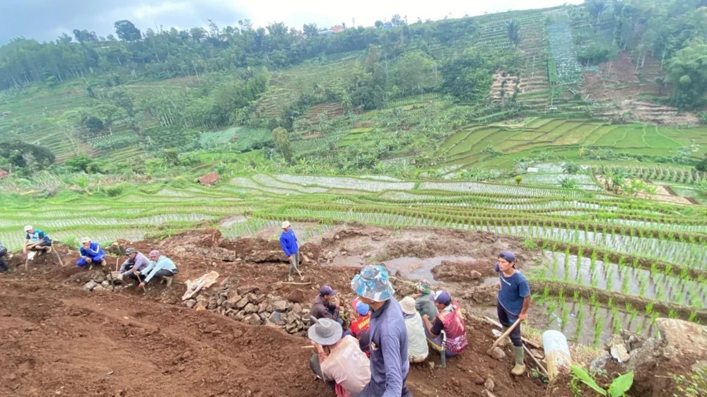 Pesawahan di Kampung Babakanloa Desa Genteng