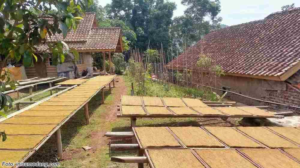 Suasana Kampung Lebak Peutag Desa Pasigaran